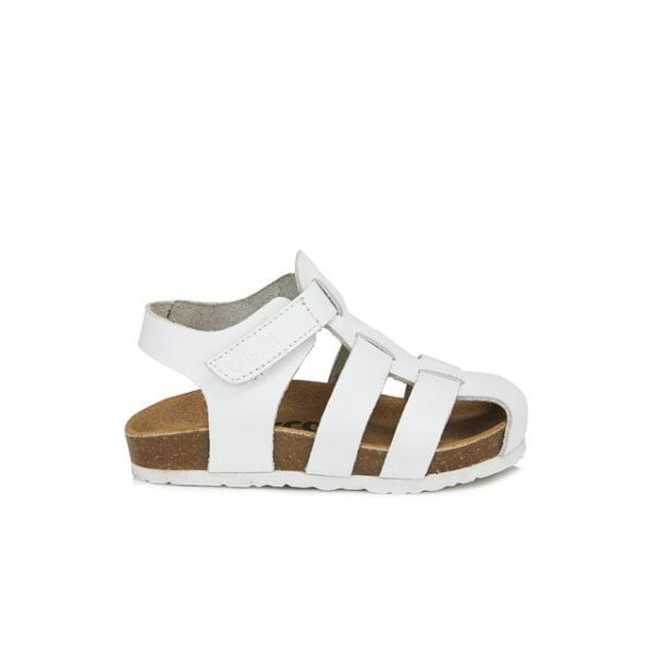 Hakiki Deri Arena II Sandalet 905.B21Y.080